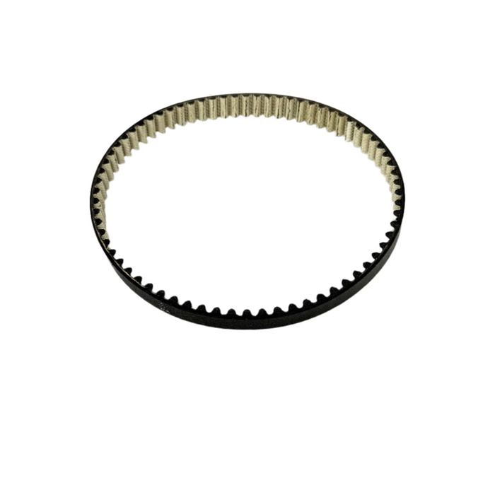 Light Bee Primary Belt (Dayco 2025)