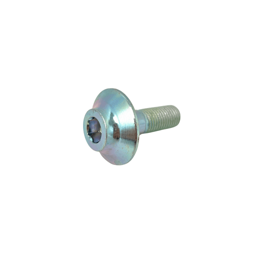 Hyper Bee Swing Arm Screw - Surron Canada