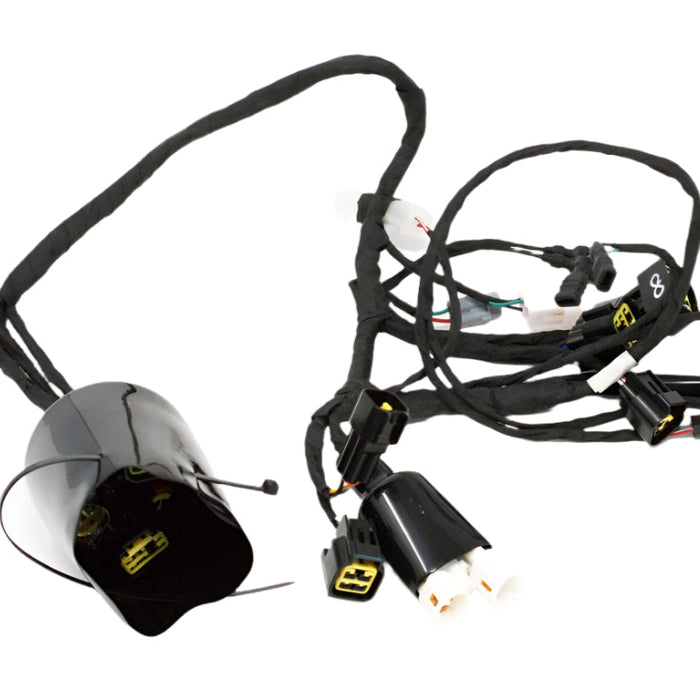 Light Bee Wiring Harness - Surron Canada